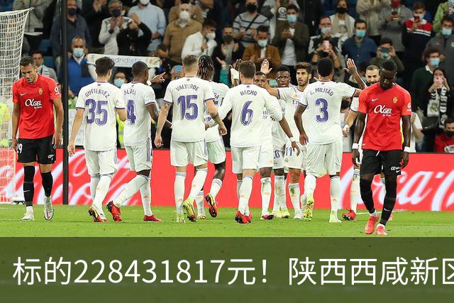 标的228431817元！陕西西咸新区发展集团有限公司新增被执行人记录