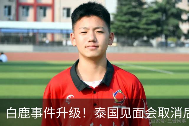 白鹿事件升级！泰国见面会取消后，缅北视频又被扒，黑历史曝光